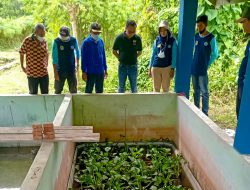 Bupati Morut Tantang BBI Korowalelo Jadi Pusat Pembibitan Ikan Gabus