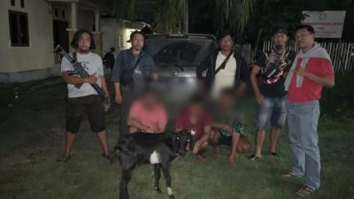 Polsek Biromaru Tangkap Komplotan Pencuri Ternak di Lolu