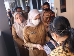 Pemprov Sulteng Pengguna Pertama Assessment Virtual “Smart Governance” BKN RI