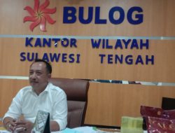 Serapan Hasil Pangan Lokal Jadi Fokus Bulog