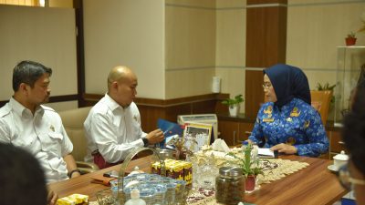 BPK Lakukan Pemeriksaan Pendahuluan Kepatuhan Pemprov Sulteng