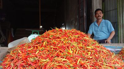 Jelang Nataru, Harga Cabai Rawit Tembus Rp170 Ribu Perkilo