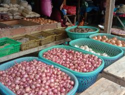 Harga Bawang Merah Tembus Rp50 Ribu Perkilogram