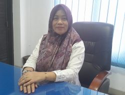 Angka Kematian DBD di Sulteng Meningkat, Dinkes Imbau 3M Plus Ditingkatkan