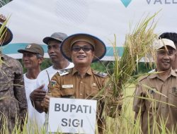 Pemkab Sigi Dorong Pertanian Organik di Desa Walatana