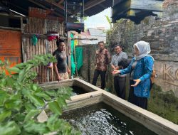 Telah Mendunia, Kemenkumham Sulteng Lakukan Monitoring Populasi Ikan Sidat