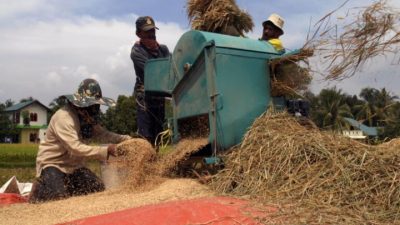 Tiga Bulan Ke Depan, Bulog Sulteng Targetkan Serap Beras Petani 3.894 Ton
