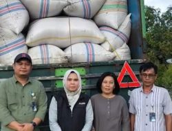 Komitmen Capai Swasembada Pangan, Bulog Sulteng Serap Gabah di Kabupaten Parigi Moutong