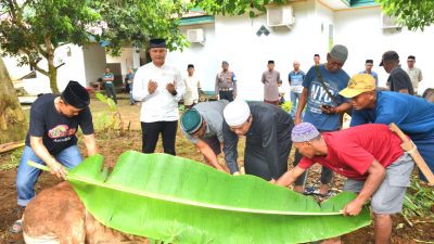 Sembelih 17 Sapi dan 5 Kambing, Polres Morut Bagikan Daging Qurban ke Warga