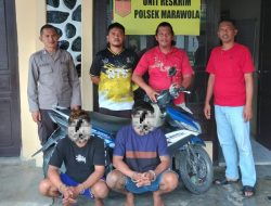 Polsek Marawola Tangkap Dua Pencuri Ternak di Tinggede