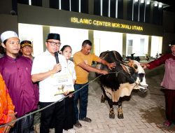 Bupati Delis Julkarson Hehi Serahkan Sapi Kurban Amanah Presiden Prabowo untuk Morowali Utara