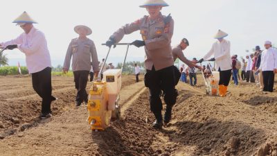 Kapolres Sigi Tanam Jagung