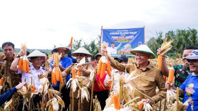 Bupati Sigi dan Gubernur Sulteng Panen Perdana Jagung, Dorong Sigi Jadi Sentra Produksi Regional