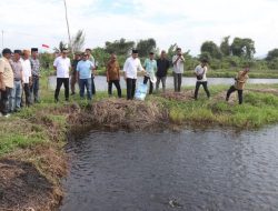 Bupati Delis Panen Perdana Ikan Nila di Desa Ungkea, Dorong Pengembangan Komoditas Unggulan Desa