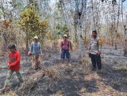 3 Hektar Kebun Karet di Morowali Utara Terbakar, Kapolres Ingatkan Warga Waspada Karhutla