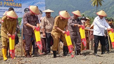 Kejari Sigi Tanam Jagung di Dolo Barat, Dukung Program Ketahanan Pangan