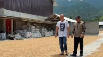 Lampaui Target, Bulog Sulteng Masih Maksimalkan Serapan Gabah Setara Beras