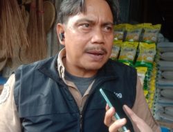 Stok Beras di Gudang Bulog Sulteng Capai 21.000 Ton