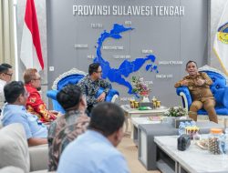 Pastikan Pasokan Aman, Gubernur Anwar Hafid Fokus Antisipasi Distribusi BBM dan LPG