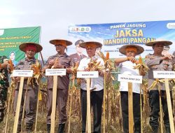 Kejari Sigi Panen Jagung Program Jaksa Mandiri Pangan di Dolo Barat