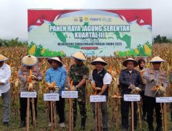 Tahun Ini Bulog Sulteng Targetkan Serap 11.000 Ton Beras Lokal dan 3.000 Ton Jagung
