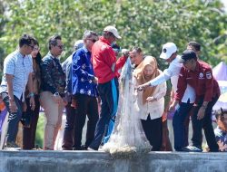 Panen Perdana Udang Vaname, Wagub Sulteng Dorong Ekonomi Biru Lewat Program Berani Tangkap Banyak