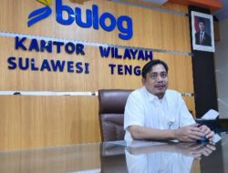 Bulog : Serapan Gabah-Beras Petani Tembus 3 Juta Ton