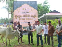 Polres Sigi Sembelih 9 Hewan Kurban, Daging Dibagikan ke Masyarakat