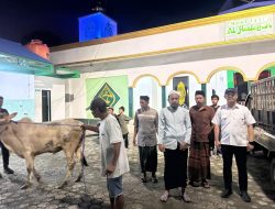 DLH Sulteng Salurkan 10 Sapi dan 1 Kambing Kurban ke Pemulung, Petugas Sampah, dan Dhuafa di Idul Adha 1447 H