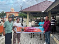 Palu Grand Mall Bagikan Hewan Qurban Untuk Masyarakat Sekitar