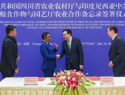Gubernur Anwar Hafid Bangun Kemitraan Investasi dan Hilirisasi dengan Sichuan