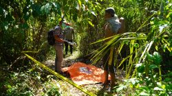 Perempuan Beriwayat Gangguan Jiwa Ditemukan Meninggal di Kebun Kelapa