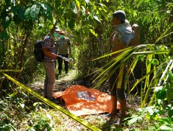 Perempuan Beriwayat Gangguan Jiwa Ditemukan Meninggal di Kebun Kelapa