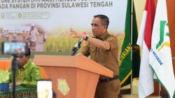 Anwar Hafid Genjot Berani Panen Raya, Target Produktivitas Padi Sulteng Capai 6 Ton per Hektare