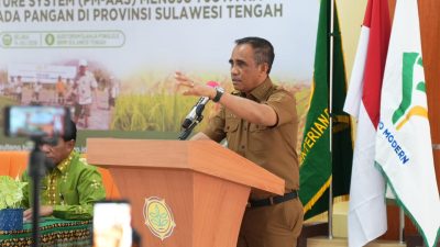 Anwar Hafid Genjot Berani Panen Raya, Target Produktivitas Padi Sulteng Capai 6 Ton per Hektare