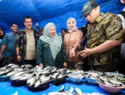 Wagub Reny dan Bupati Tolitoli Sidak Pasar Susumbolan, Pastikan Harga dan Stok Bahan Pokok Stabil