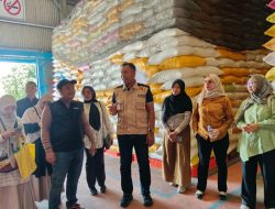 Ketersediaan Stok Beras Dikuasai Bulog Sulteng 16.973 Ton