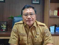 DPMPTSP Sulteng Catat Investasi Tumbuh Positif, 19 Ribu Tenaga Kerja Terserap