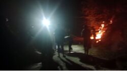 Gubernur Anwar Hafid Gerak Cepat Tangani Karhutla di Lore Utara, BPBD Sulteng Kerahkan Personel dan Armada Pemadam