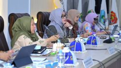 Wagub Reny Minta Dukungan Pusat, 220 Puskesmas di Sulteng Butuh Penguatan Fasilitas