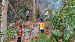 Karhutla di Pegunungan Sigi Capai 40 Hektare, Api Sulit Dijangkau