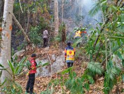 Karhutla di Pegunungan Sigi Capai 40 Hektare, Api Sulit Dijangkau